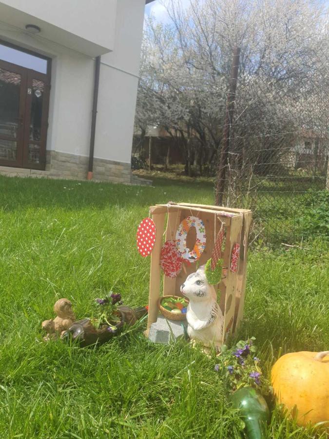 Бадевски Рай-Къща Любов Badevtsi Bagian luar foto
